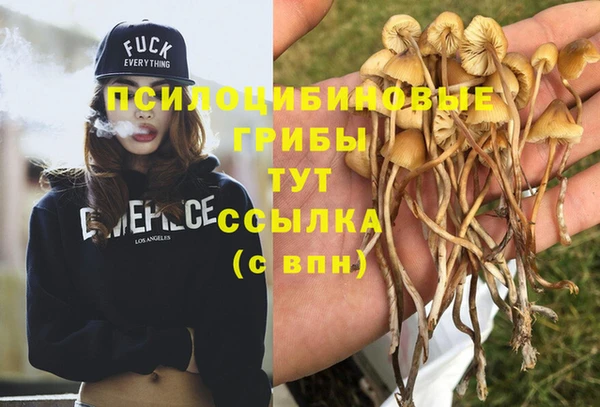 меф Бугульма