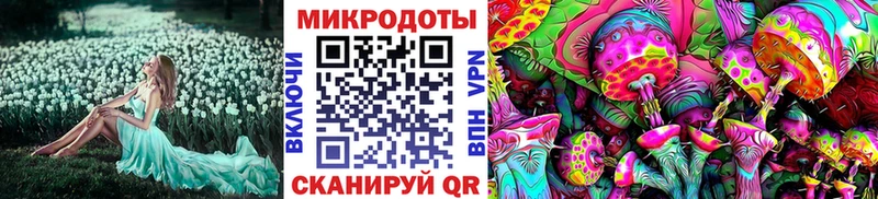 Купить где  Полярный  Псилоцибиновые грибы Psilocybine cubensis 