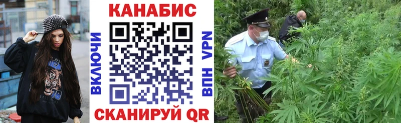 Каннабис индика Полярный